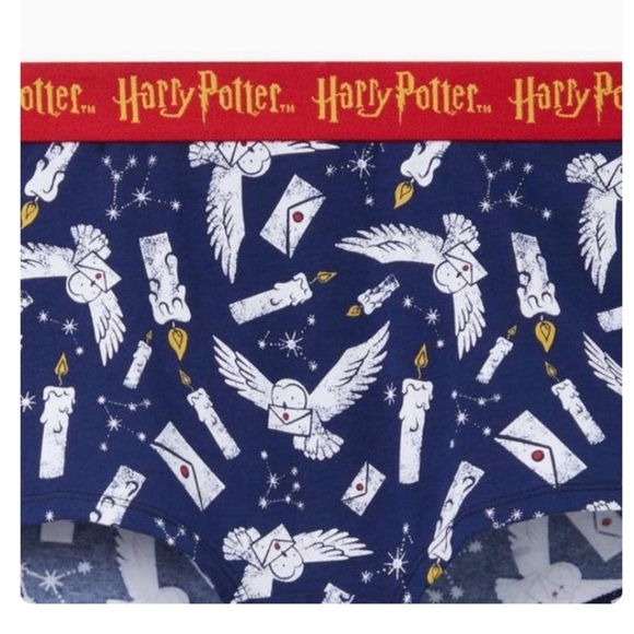 3 for $30 TORRID NWT Harry Potter Seamless Boyshort Panty - Cotton Hedwig 0316 - Picture 3 of 6